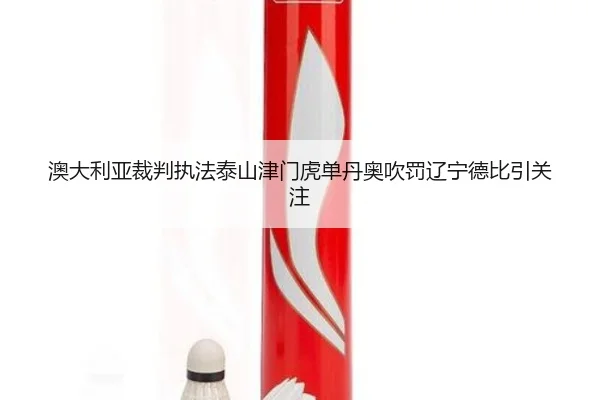 澳大利亚裁判执法泰山津门虎单丹奥吹罚辽宁德比引关注